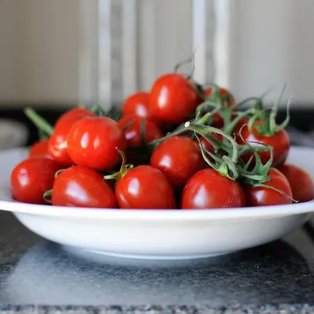 شقة Panoramic Living *