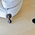 Panoramic Living